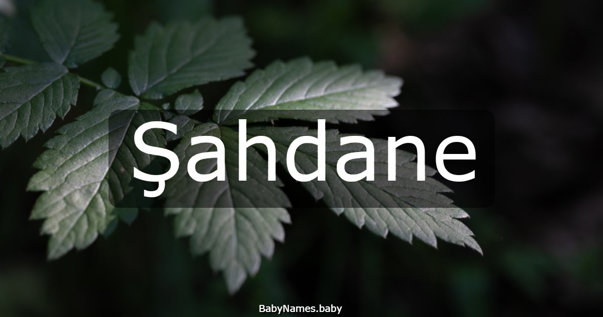 Şahdane