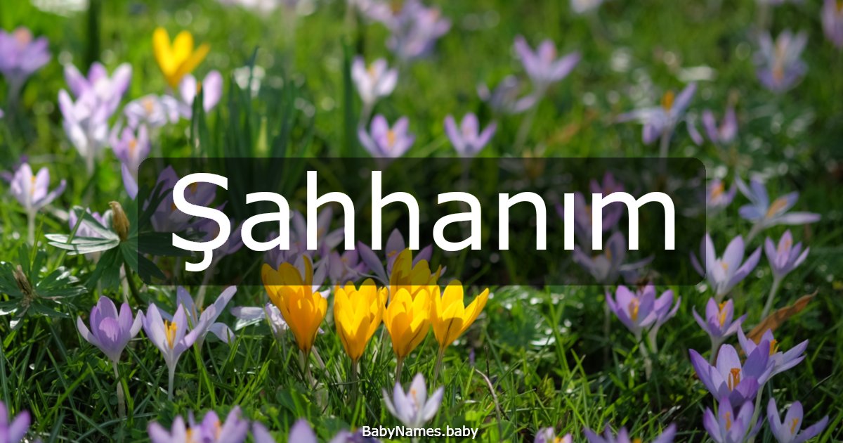 Şahhanım