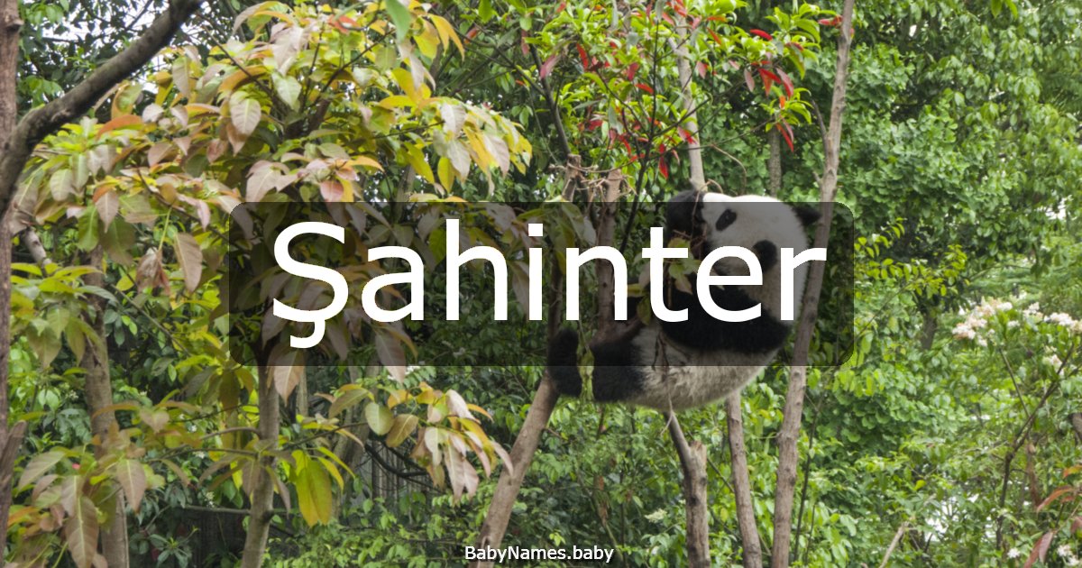 Şahinter