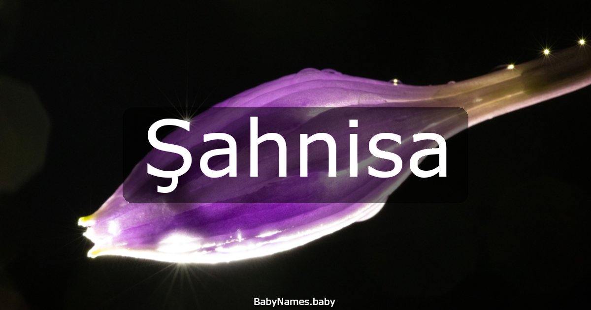 Şahnisa