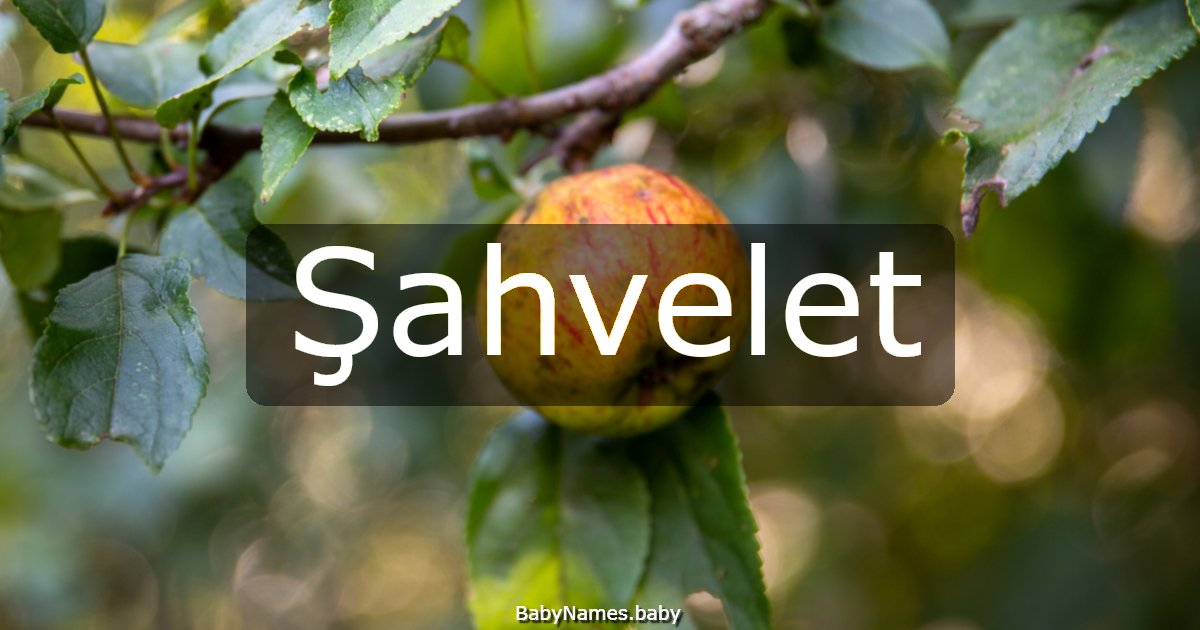 Şahvelet