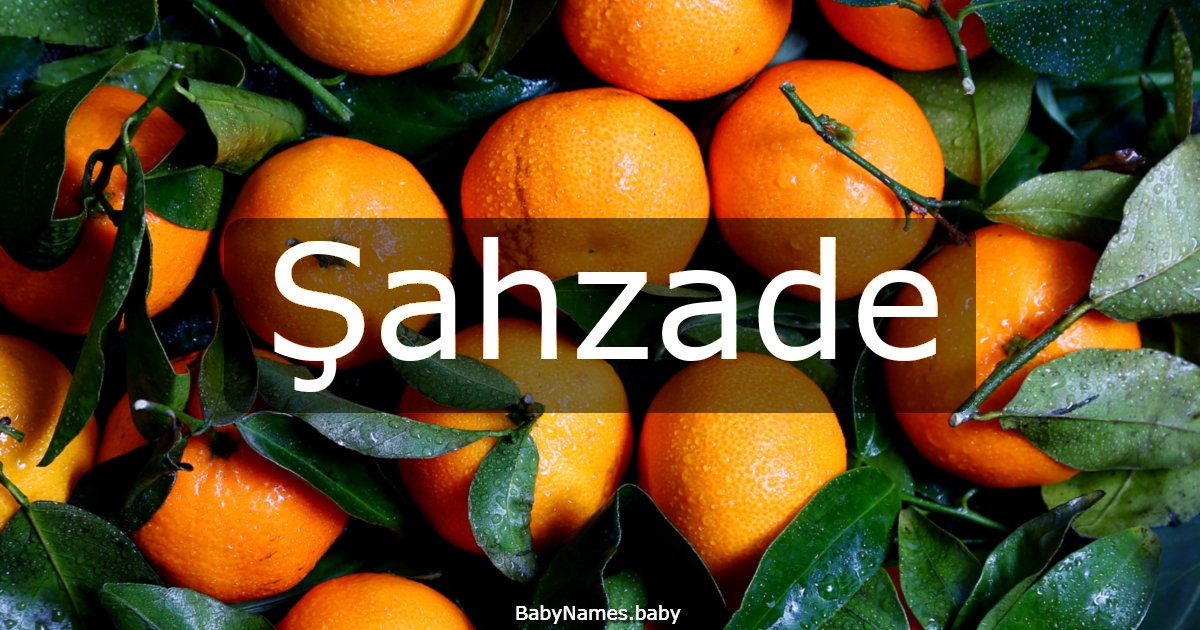 Şahzade