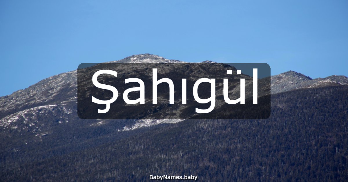Şahıgül