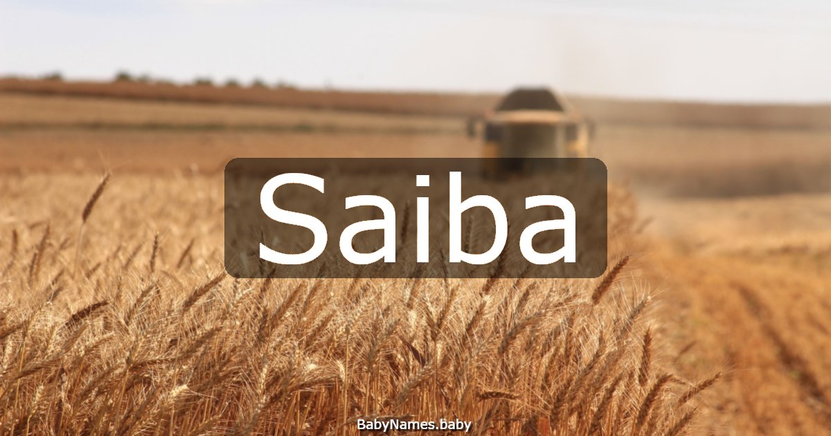 Saiba