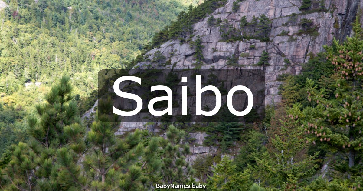Saibo