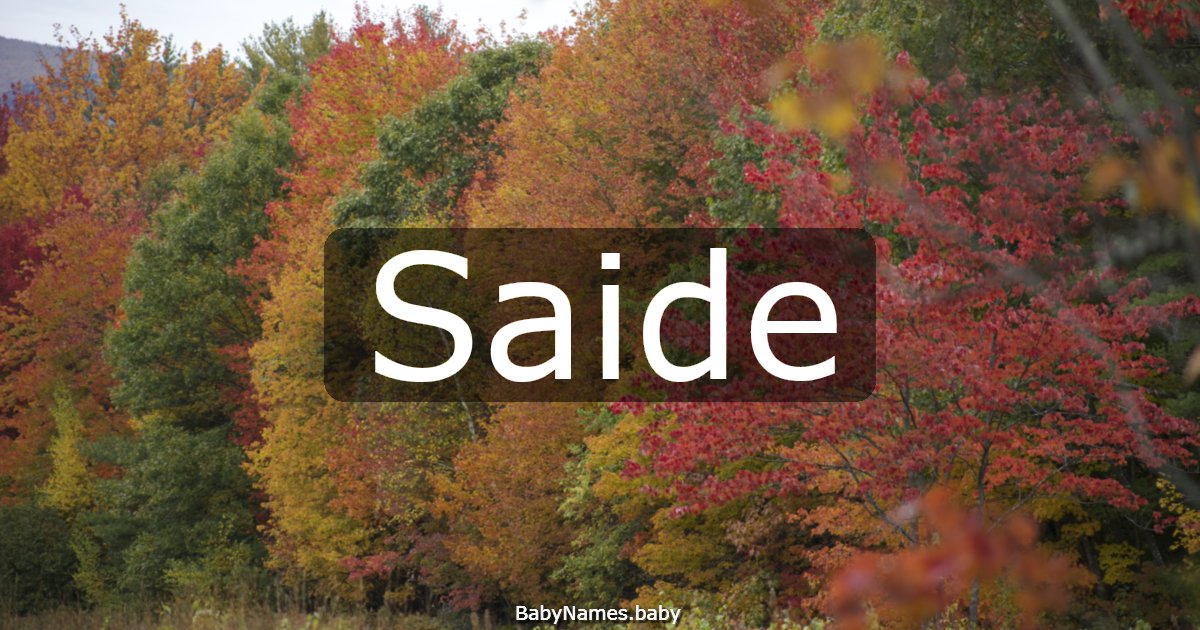 Saide