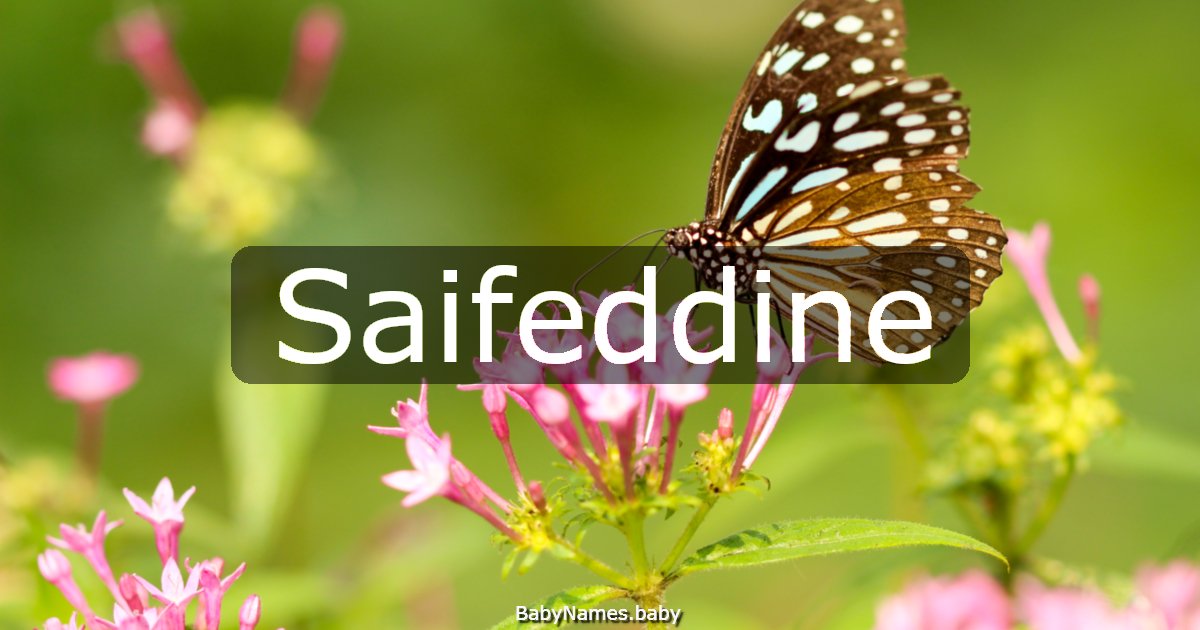 Saifeddine