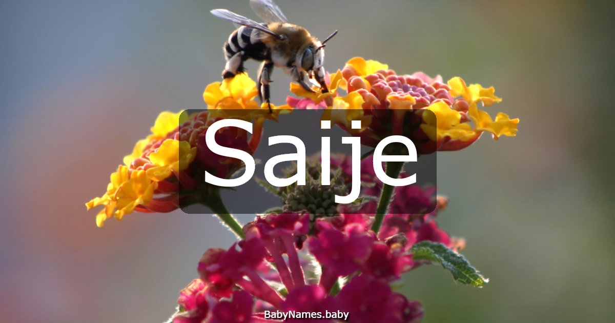 Saije