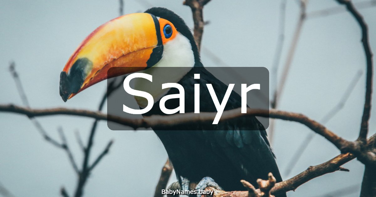 Saiyr
