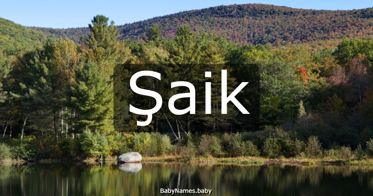 Şaik