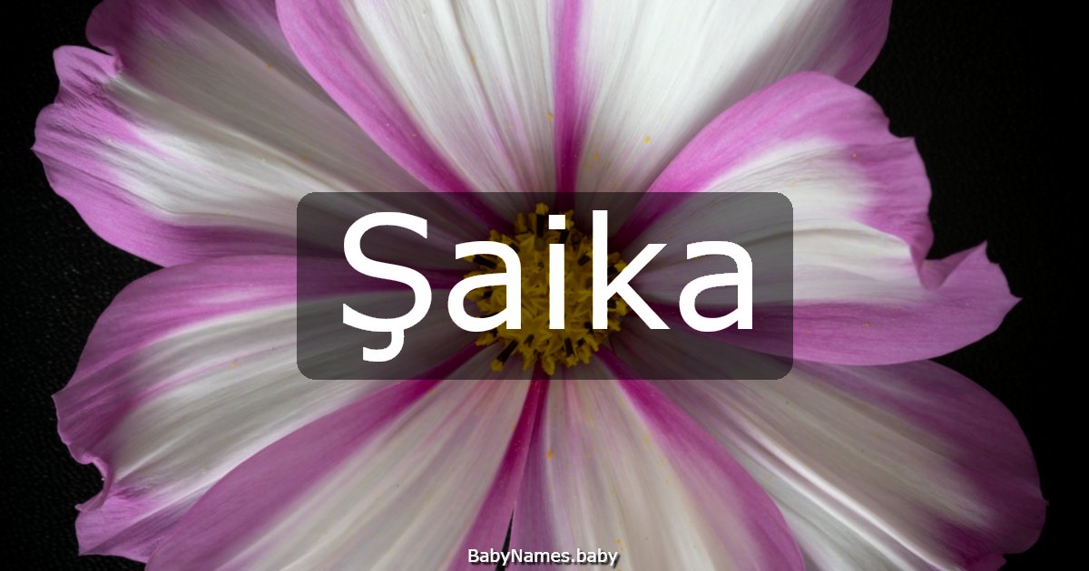 Şaika