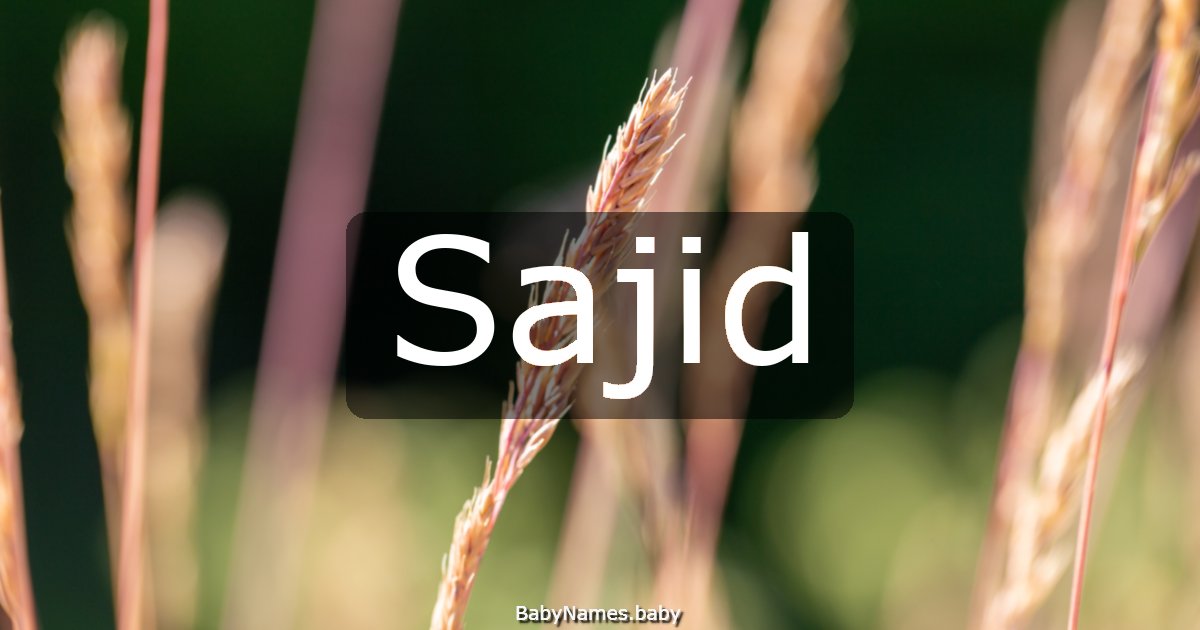 Sajid
