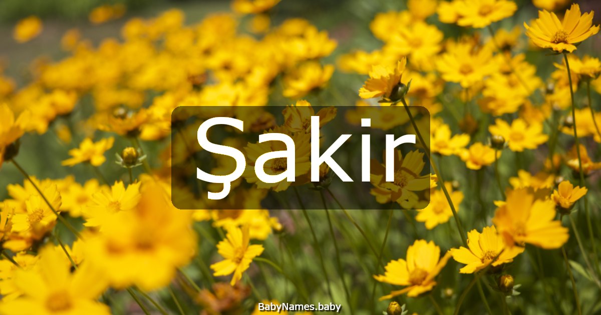 Şakir