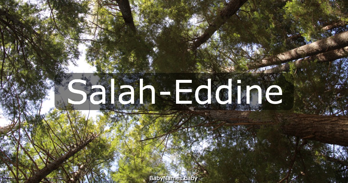 Salah-Eddine