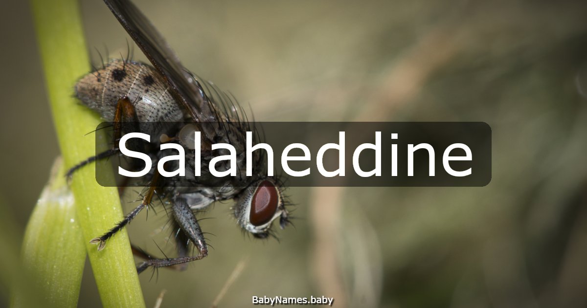 Salaheddine