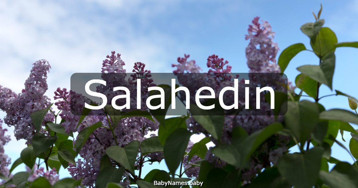 Salahedin