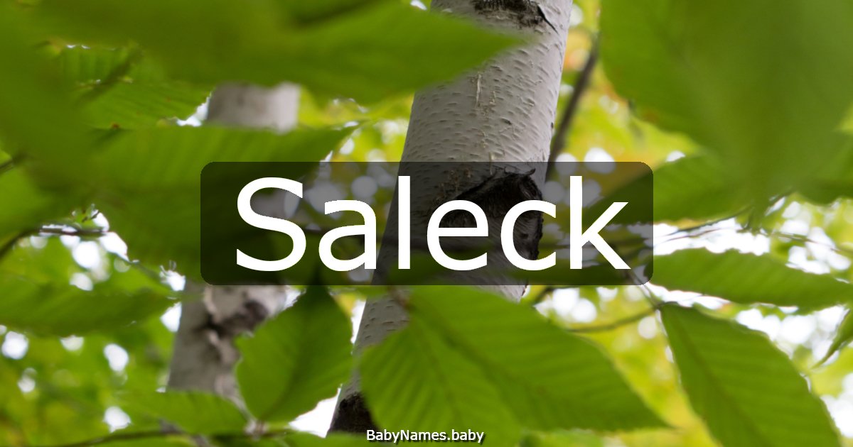 Saleck