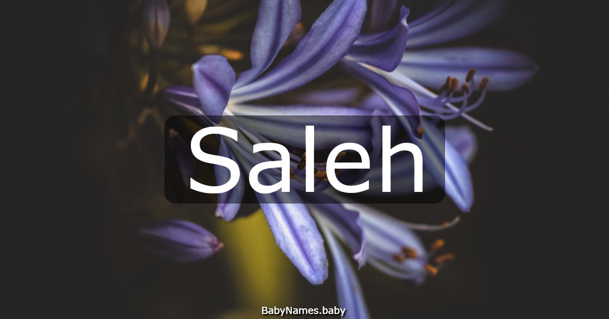 Saleh