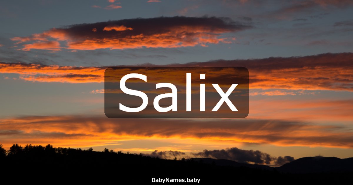 Salix