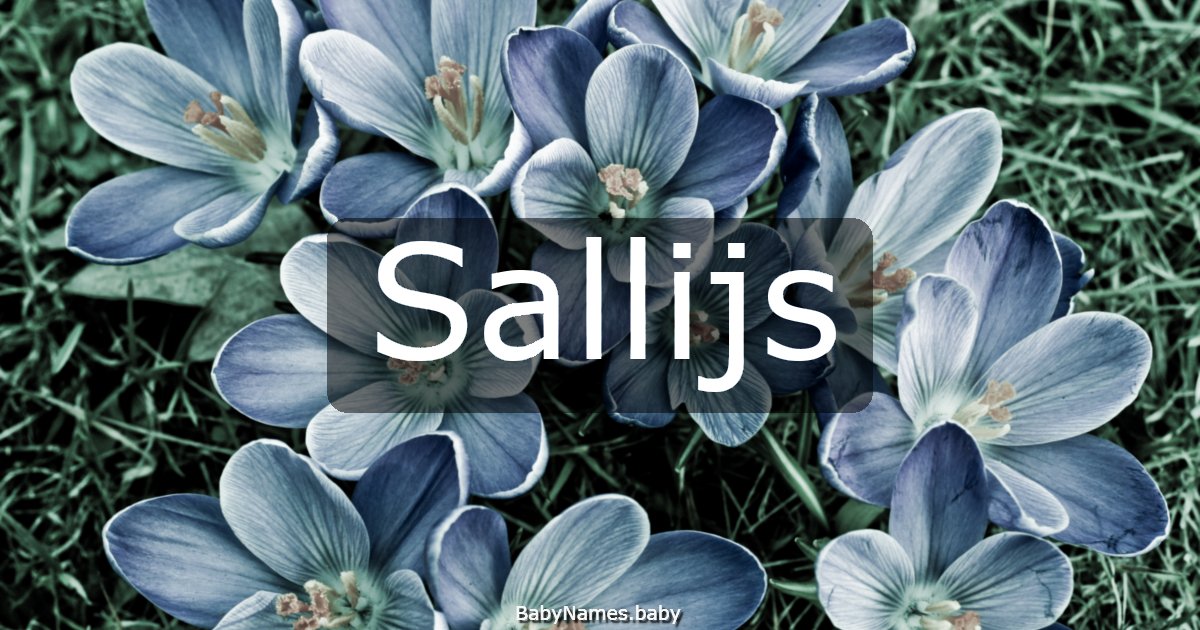 Sallijs