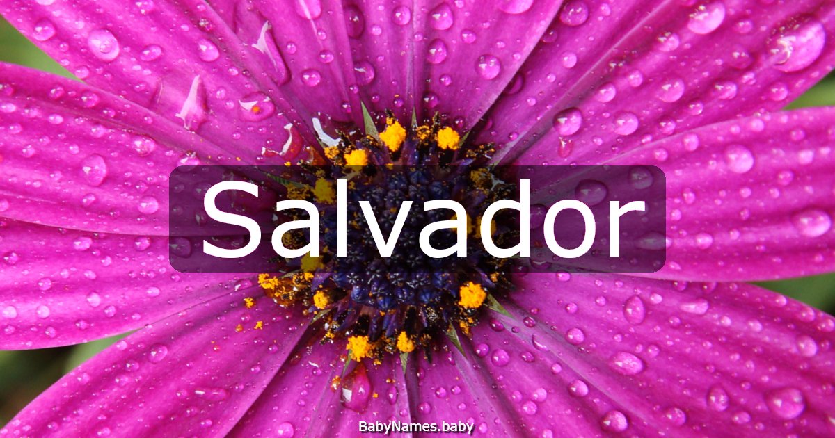 Salvador