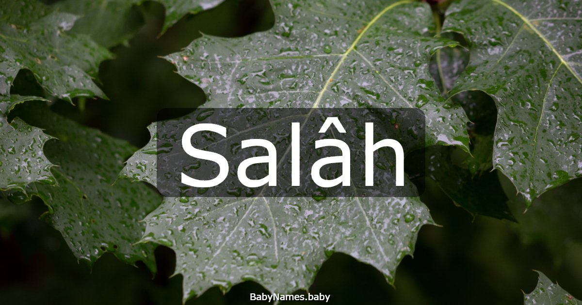 Salâh