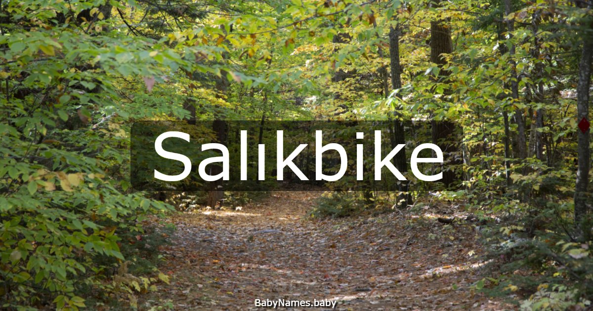 Salıkbike