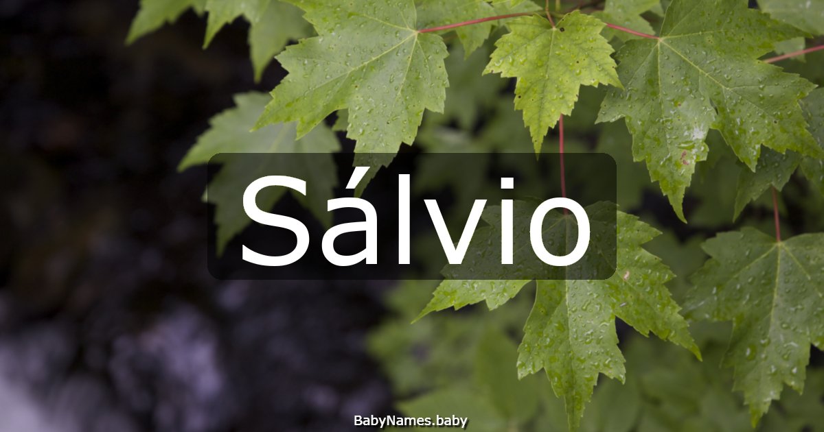 Sálvio