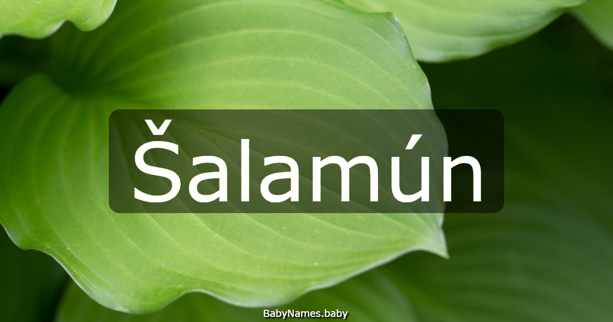 Šalamún