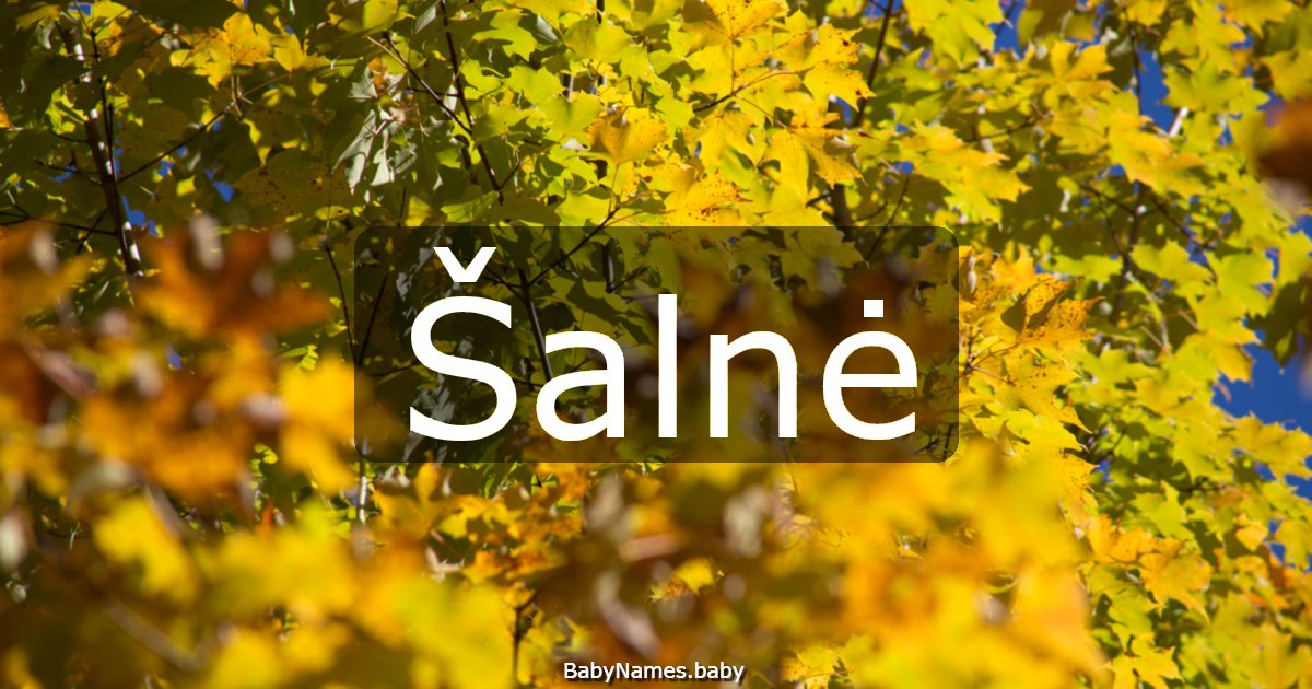 Šalnė