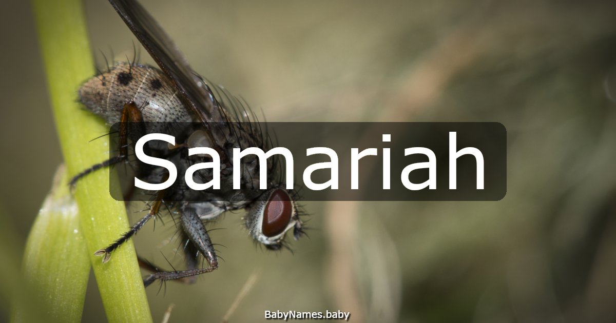 Samariah