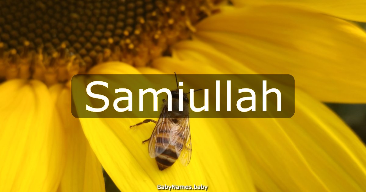 Samiullah