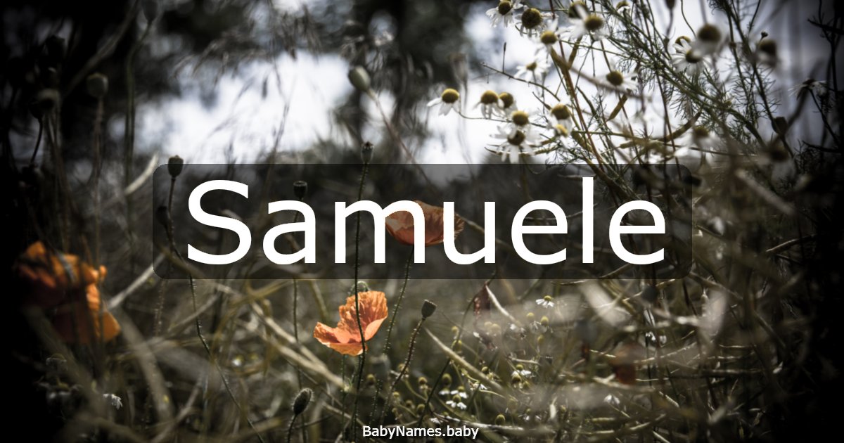 Samuele