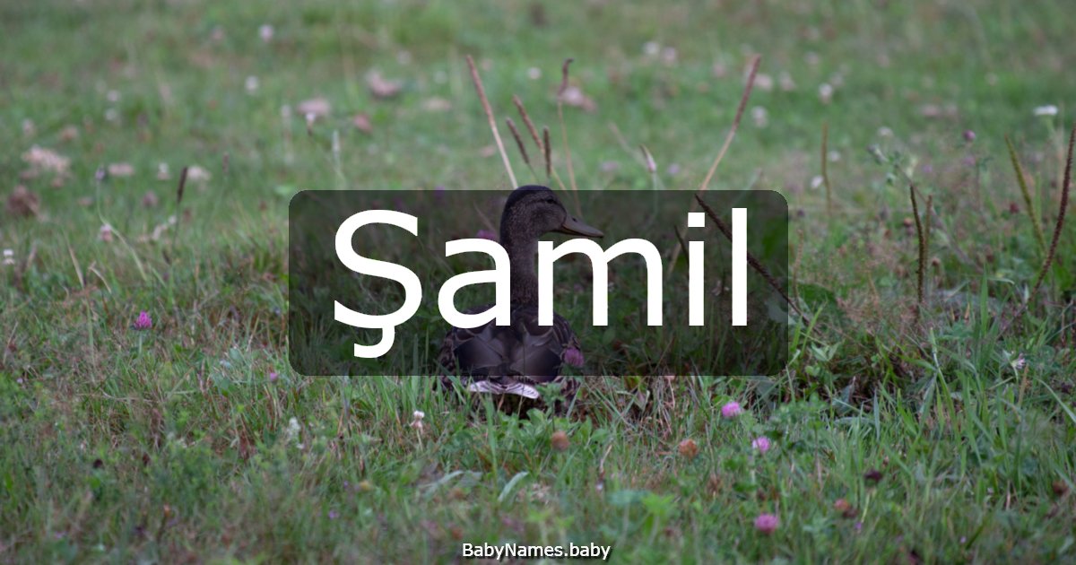 Şamil