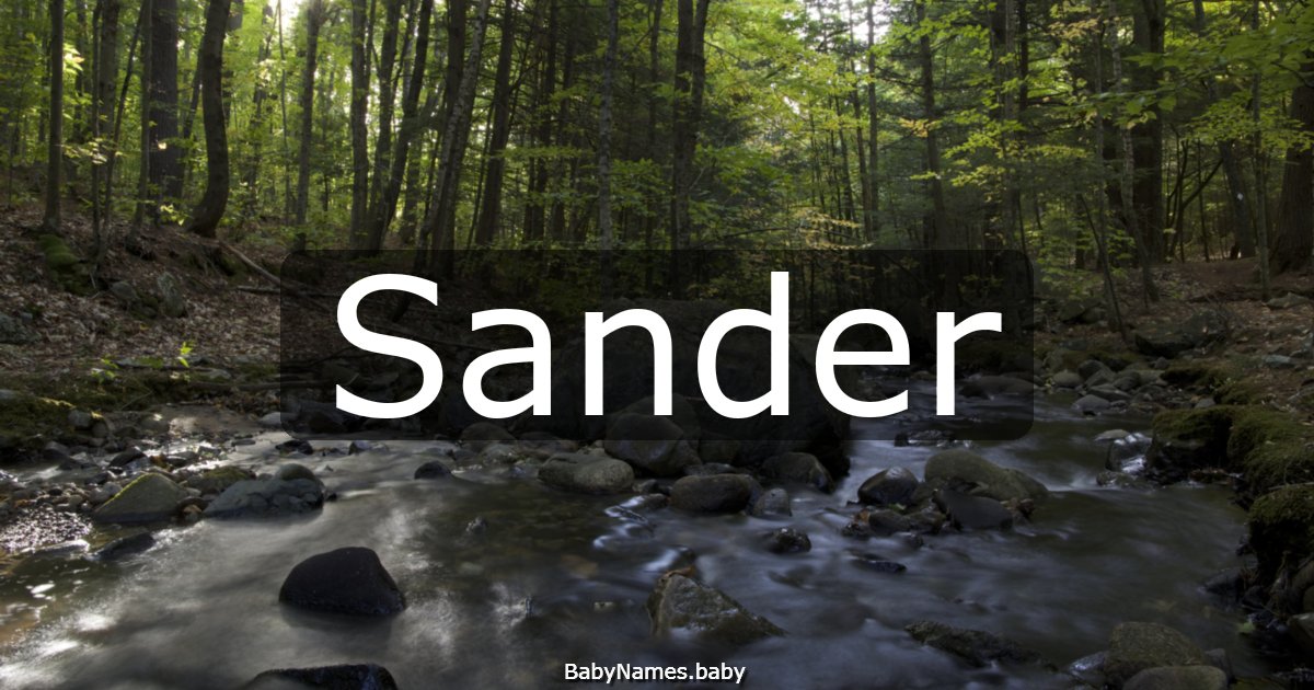 Sander