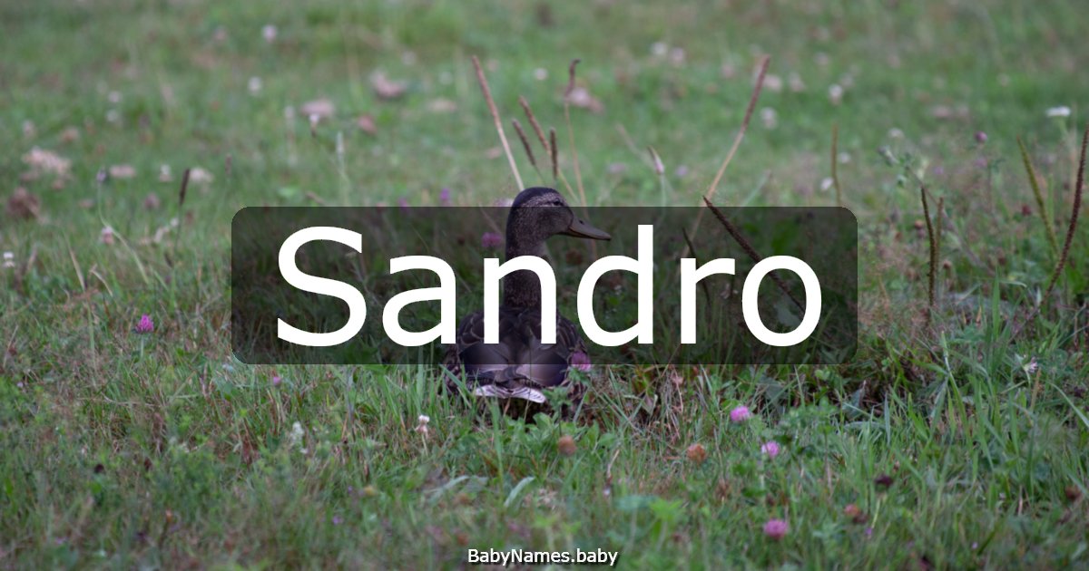 Sandro