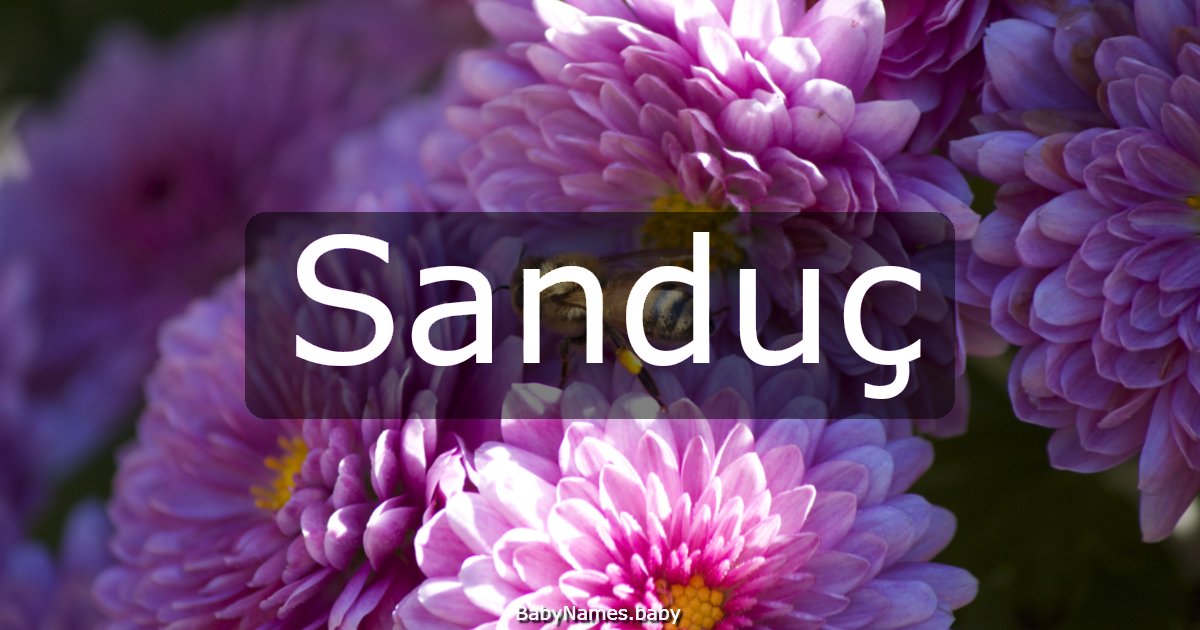 Sanduç