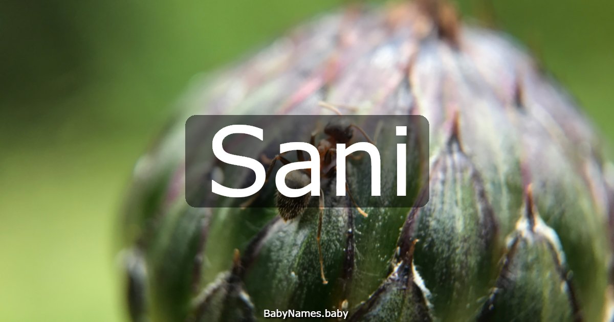 Sani