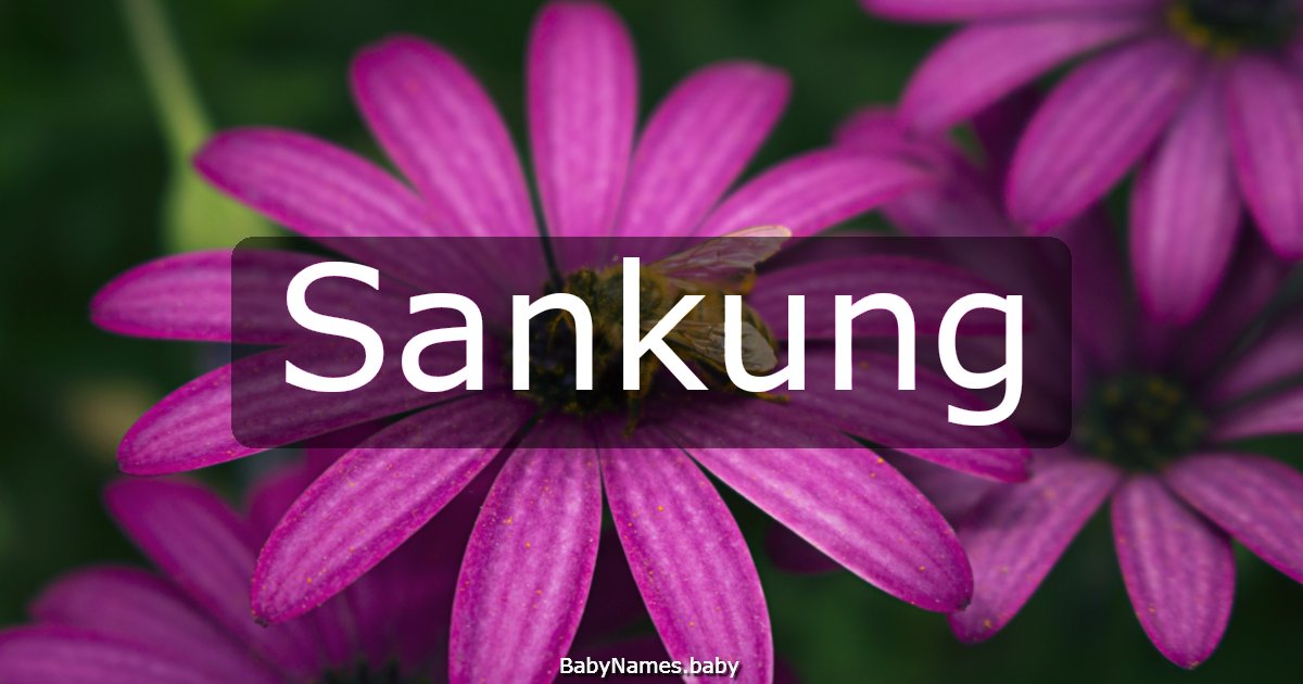Sankung