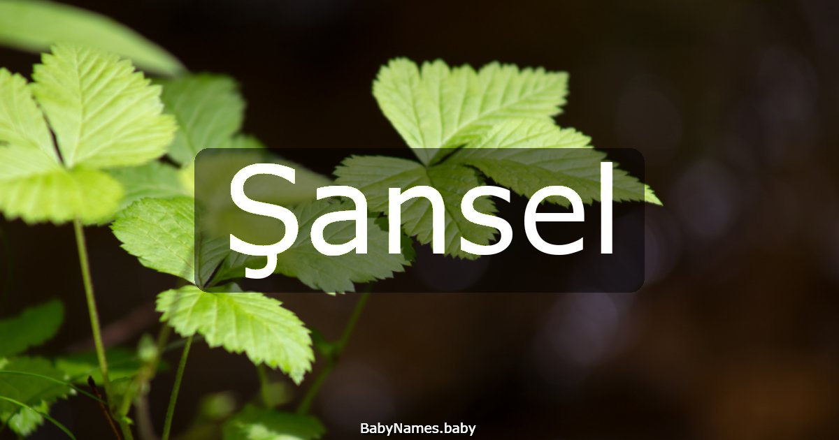 Şansel