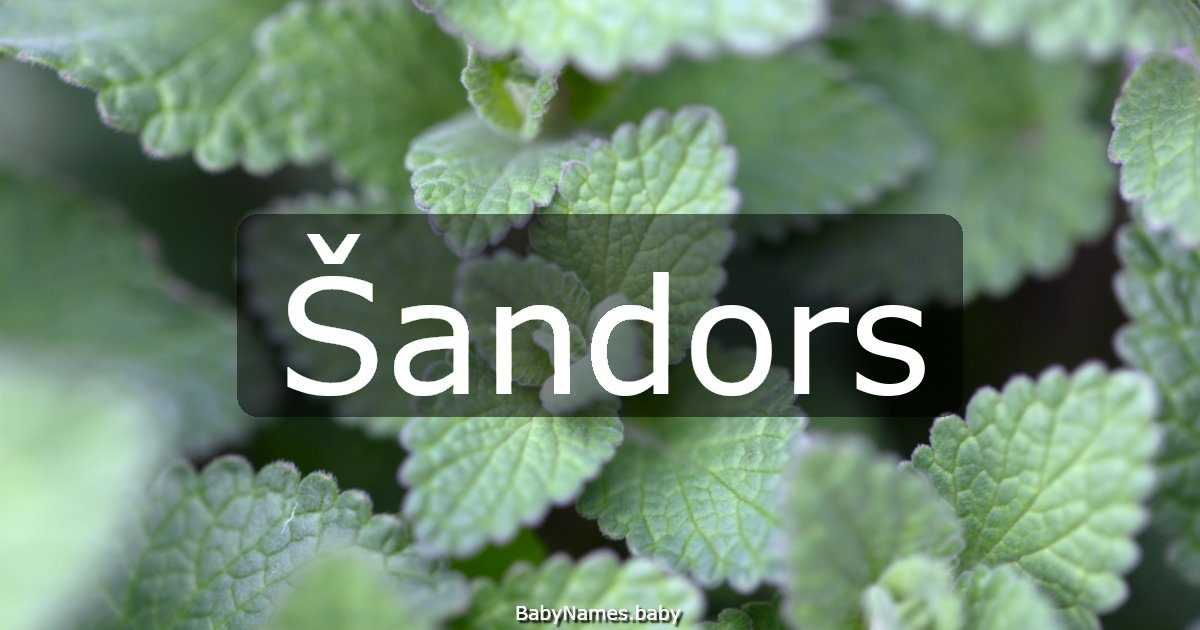 Šandors