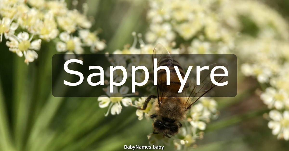Sapphyre
