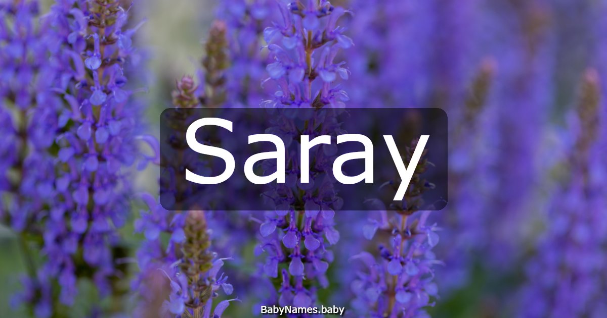 Saray