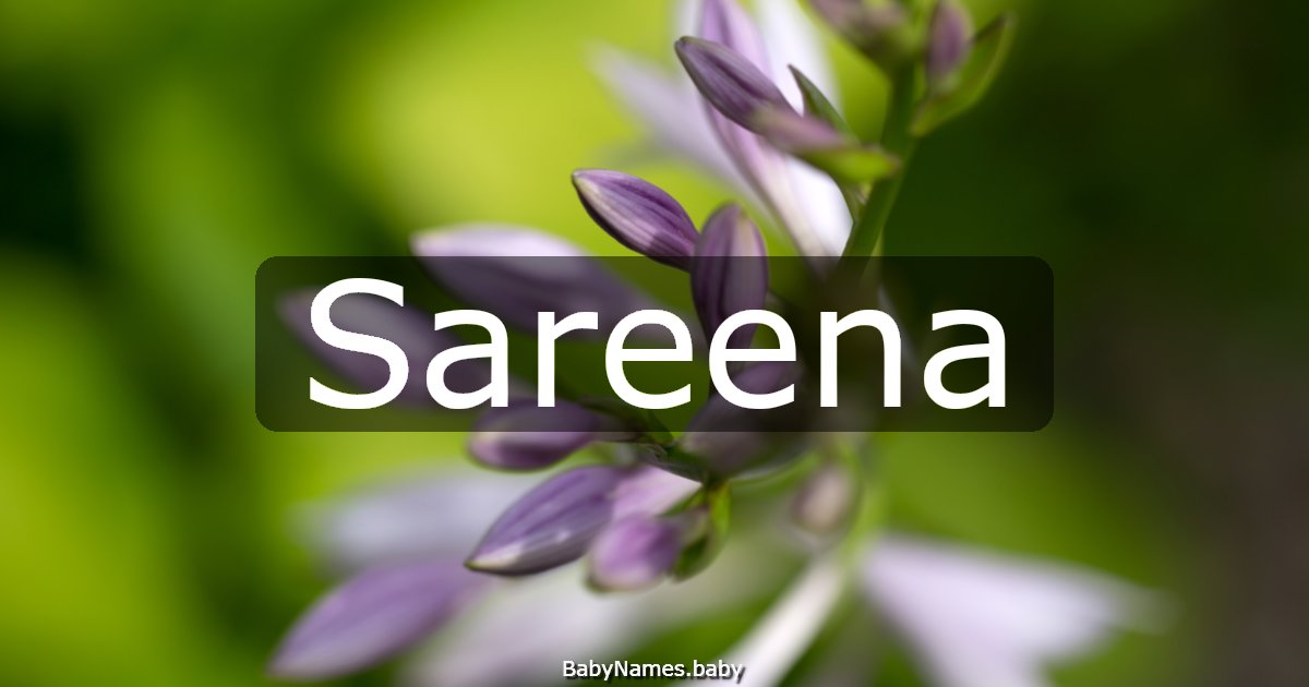 Sareena