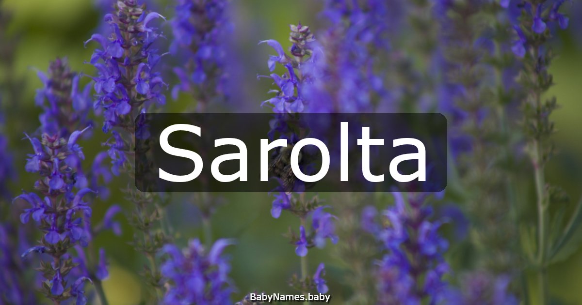 Sarolta