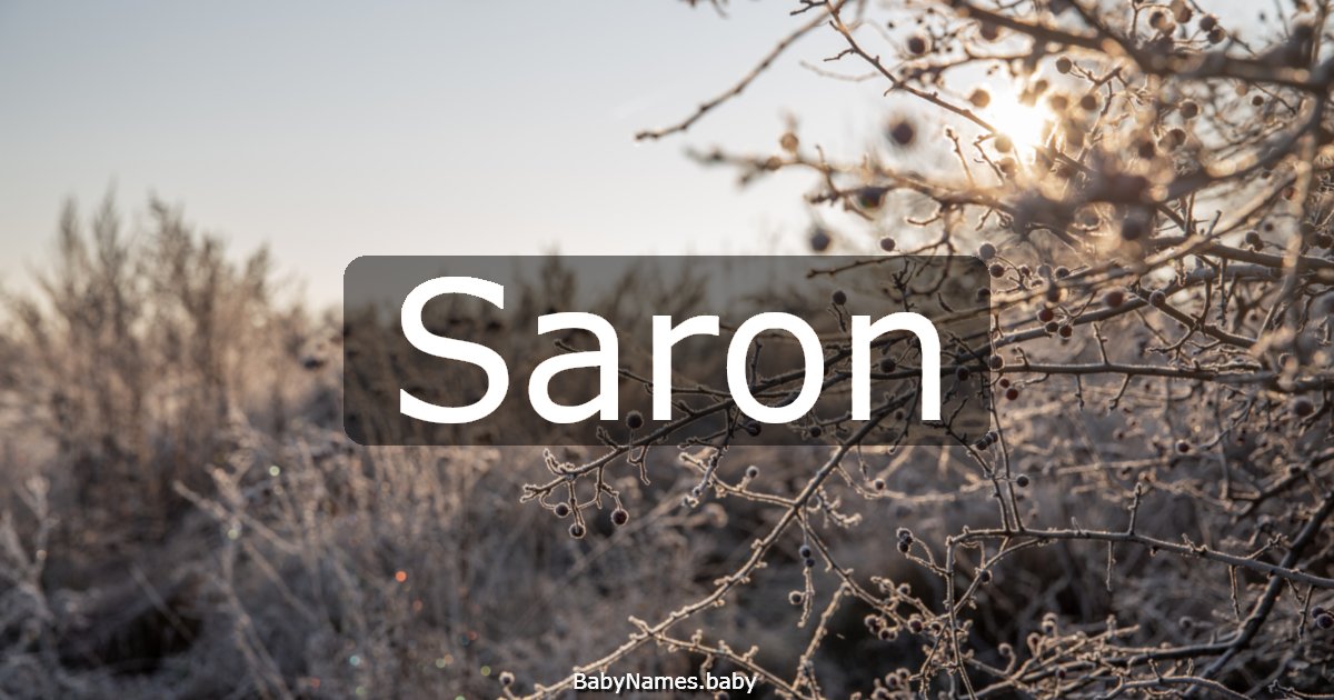 Saron