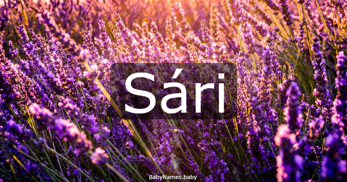 Sári