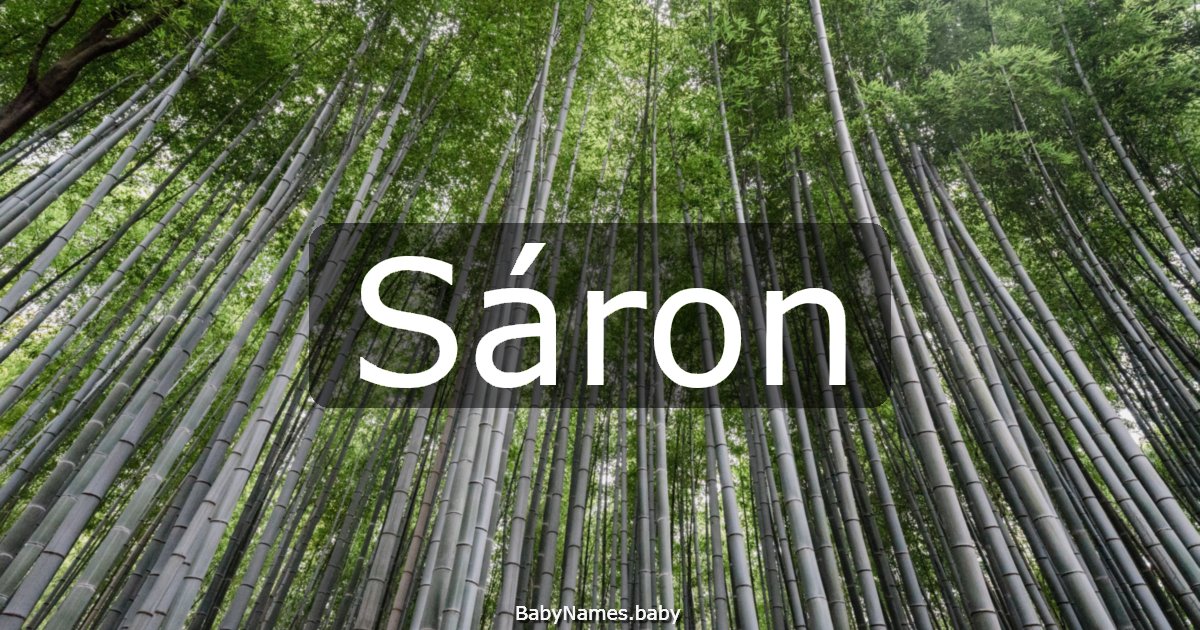 Sáron