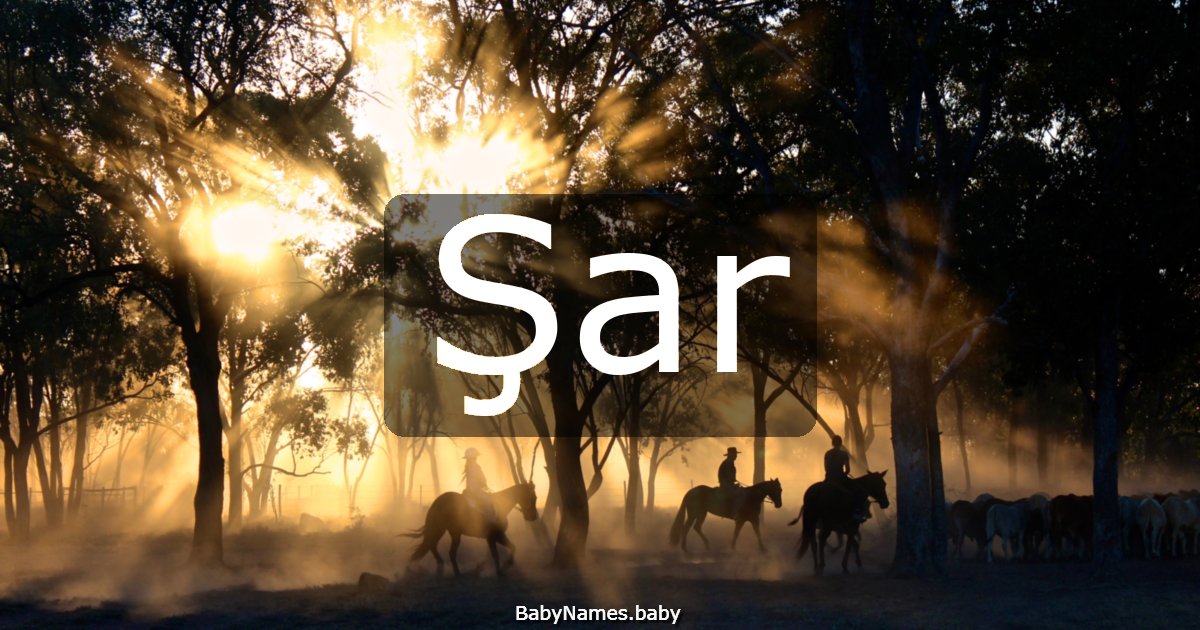 Şar