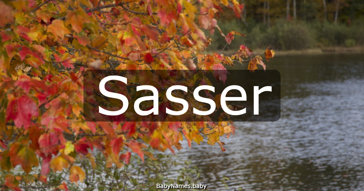 Sasser